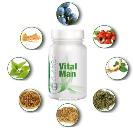 The herbal ingredients of VitalMan