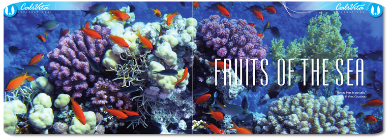 Fruits of the sea