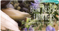 Herb based formulas