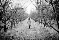 lonely woman in the orchard
