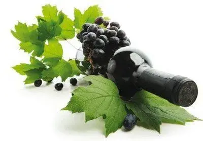 bottle with red wine and grapes